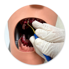 Dentalhygiene Patricia Ried | Kurs 3