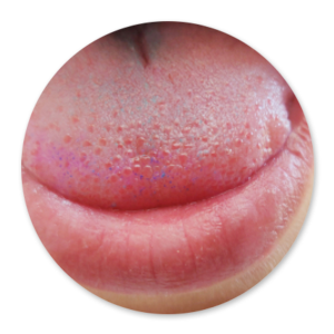 Dentalhygiene Patricia Ried | Kurs 7