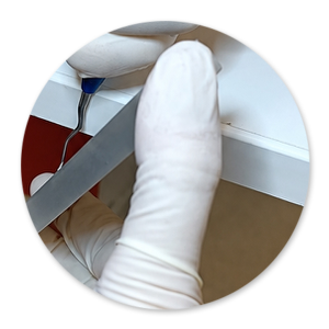 Dentalhygiene Patricia Ried | Kurs 5
