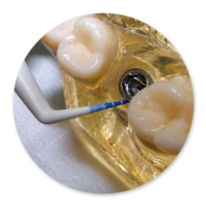 Dentalhygiene Patricia Ried | Kurs 8
