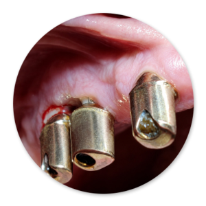 Dentalhygiene Patricia Ried | Kurs 8