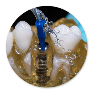 Dentalhygiene Patricia Ried | Kurs 8