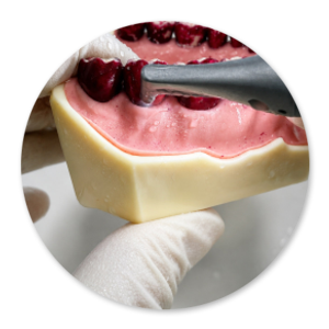 Dentalhygiene Patricia Ried | Kurs 9