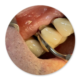 Dentalhygiene Patricia Ried | Kurs 9
