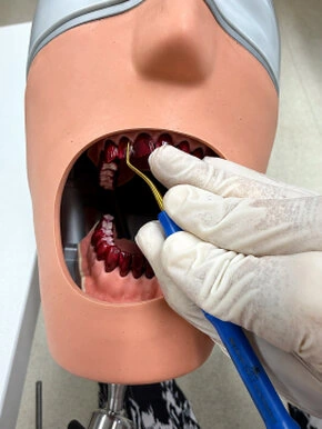 Dentalhygiene Patricia Ried - Schulungsraum